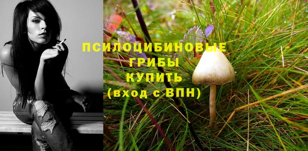 индика Бугульма