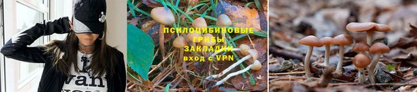 индика Бугульма
