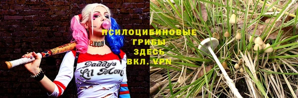 индика Бугульма