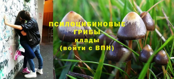 прущая мука Богородск