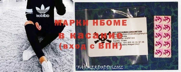 индика Бугульма