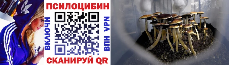 Галлюциногенные грибы мицелий  Вельск 